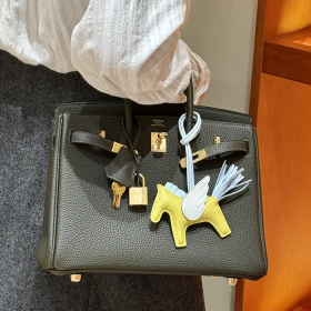 최고퀄 에르메스 올수공 버킨 25 Vert girs 토고 염소 가죽 금장