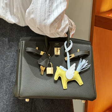 최고퀄 에르메스 올수공 버킨 25 Vert girs 토고 염소 가죽 금장