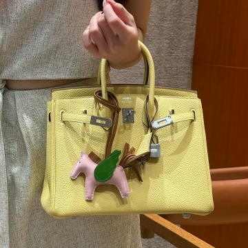 최고퀄 에르메스 올수공 버킨 25 Jaune Poussin 토고 가죽 은장